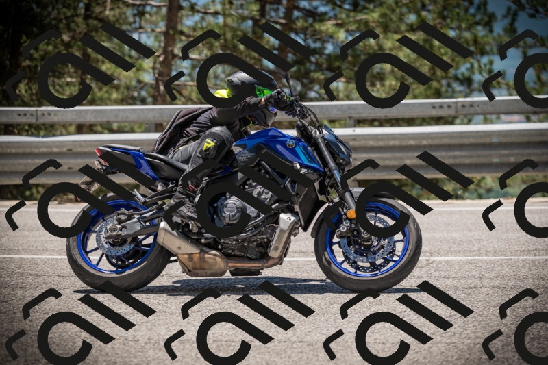 20250531124341-DSC_4739_am_