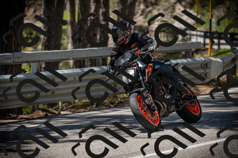 20250531124423-DSC_4741_am_