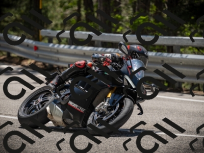 20250531124440-DSC_4752_am_