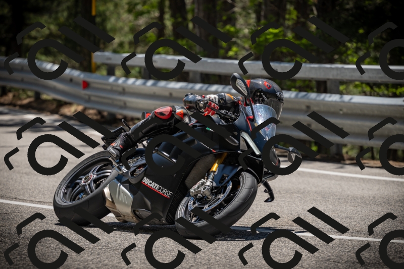 20250531124440-DSC_4752_am_