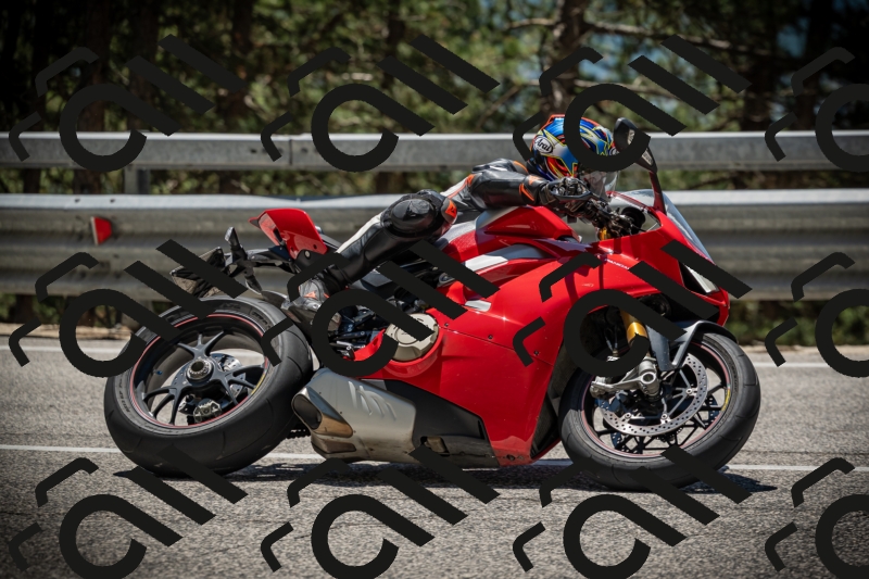 20250531124441-DSC_4753_am_