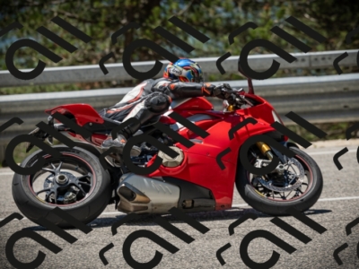 20250531124442-DSC_4754_am_