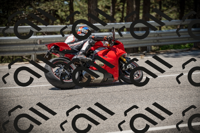 20250531124442-DSC_4755_am_