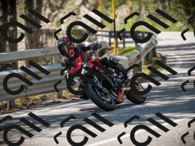 20250531124451-DSC_4756_am_