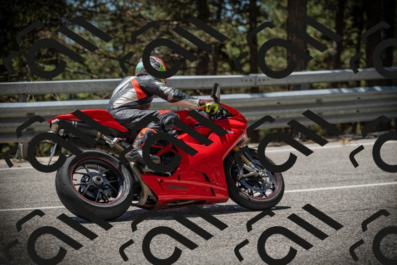 20250531124501-DSC_4763_am_