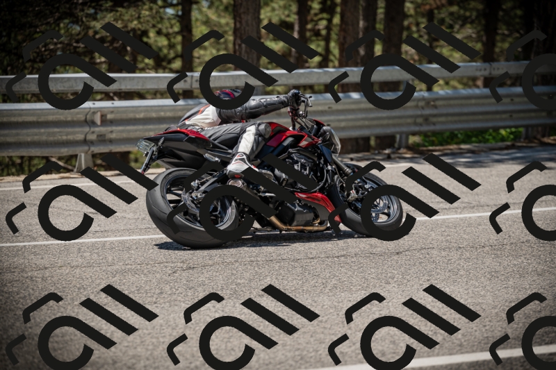 20250531124555-DSC_4766_am_