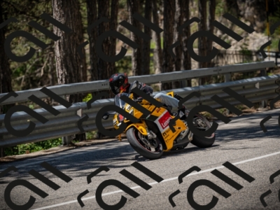 20250531124600-DSC_4769_am_