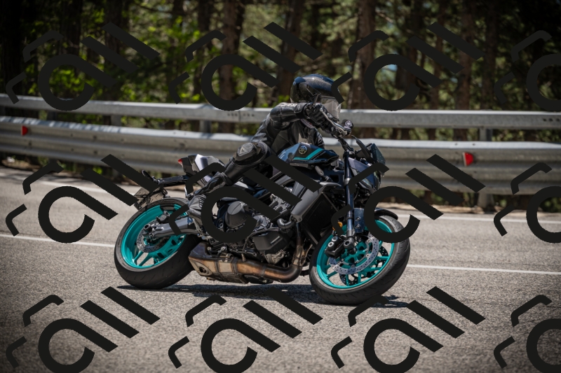 20250531124603-DSC_4773_am_