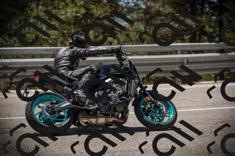 20250531124603-DSC_4775_am_