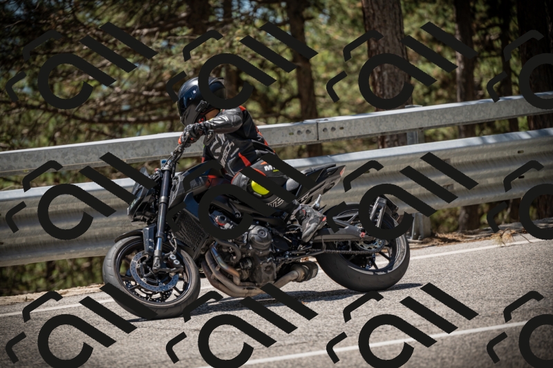 20250531124612-DSC_4780_am_