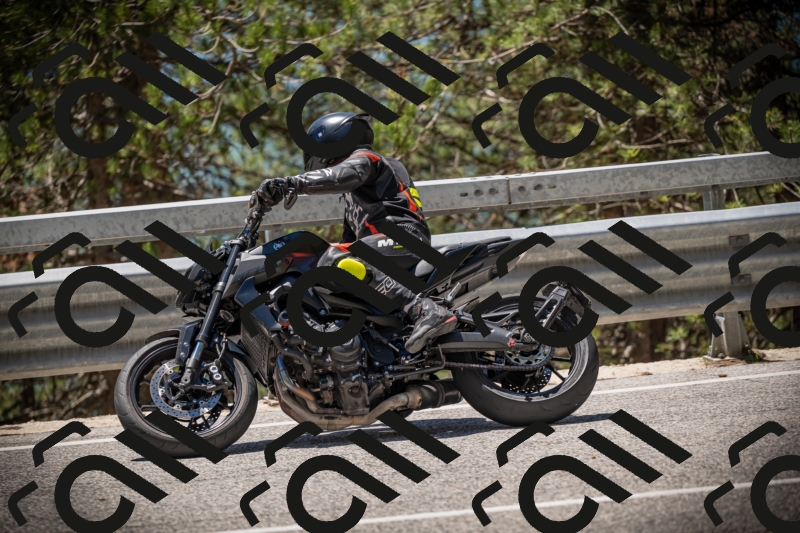 20250531124612-DSC_4781_am_