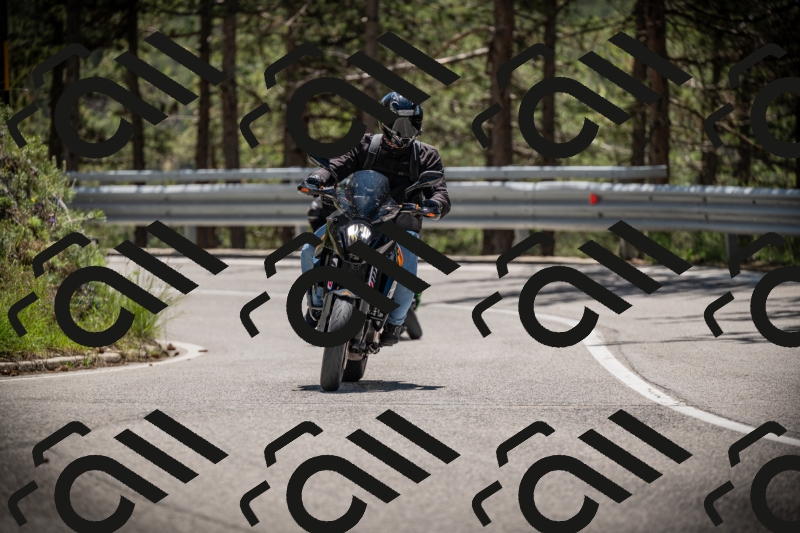 20250531124905-DSC_4783_am_