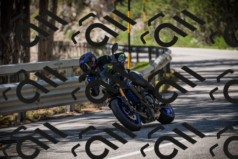 20250531124928-DSC_4791_am_