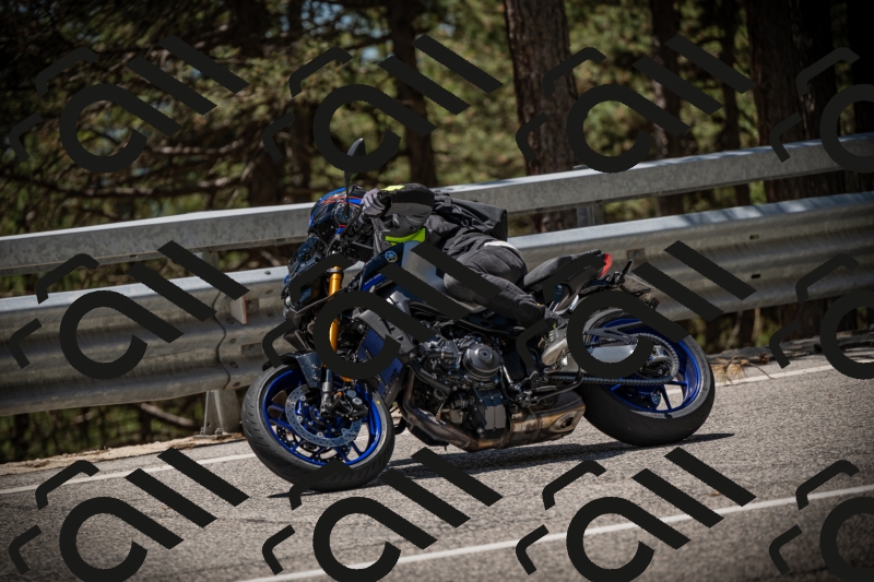 20250531124929-DSC_4792_am_