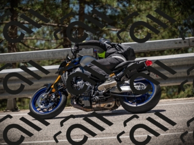 20250531124929-DSC_4794_am_