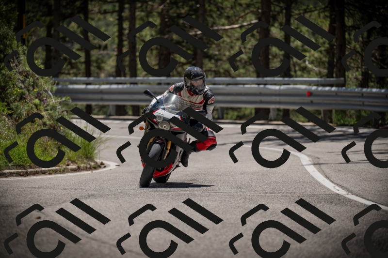 20250531124944-DSC_4796_am_