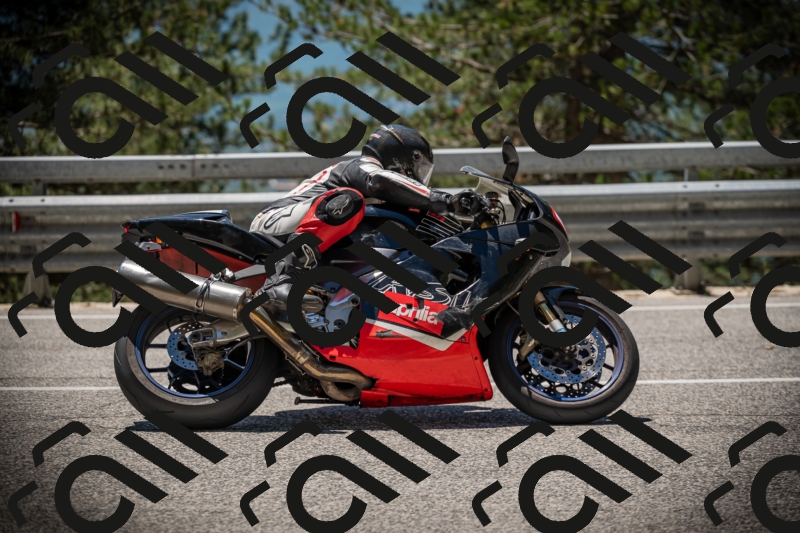 20250531124945-DSC_4798_am_