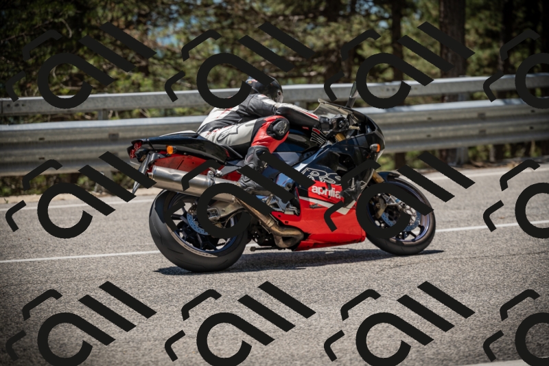 20250531124946-DSC_4799_am_