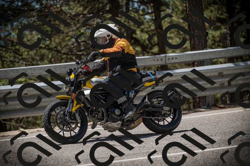 20250531125012-DSC_4800_am_