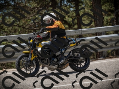 20250531125012-DSC_4800_am_