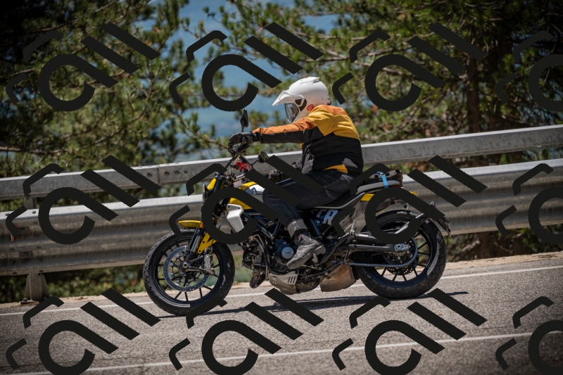 20250531125013-DSC_4801_am_