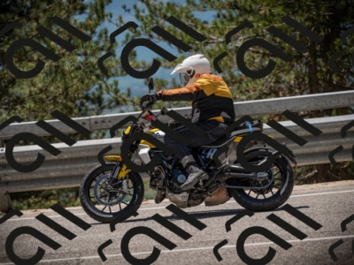 20250531125013-DSC_4801_am_