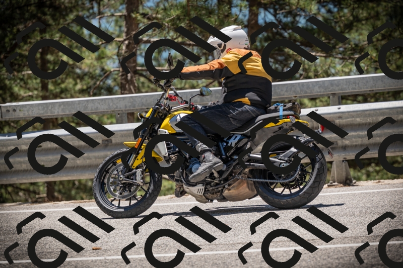 20250531125013-DSC_4802_am_