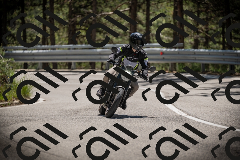 20250531125034-DSC_4803_am_