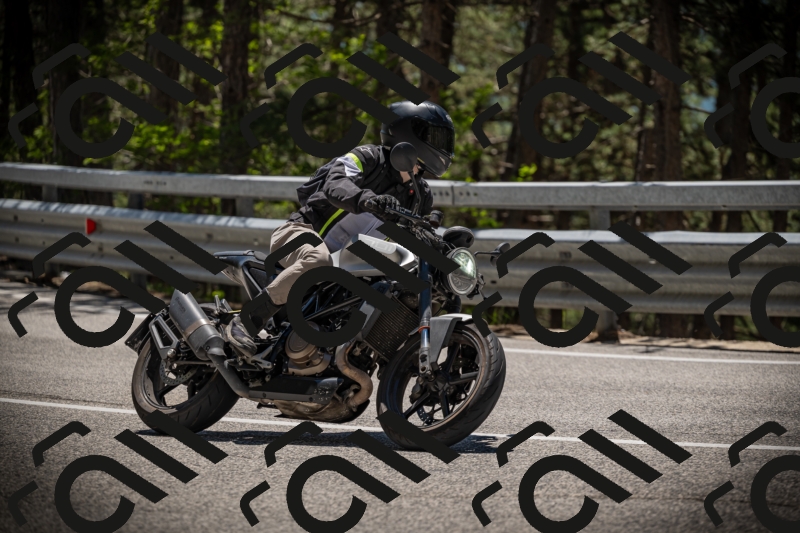 20250531125035-DSC_4804_am_