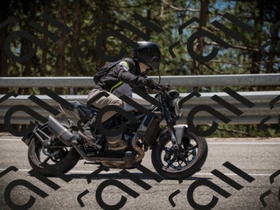 20250531125036-DSC_4805_am_