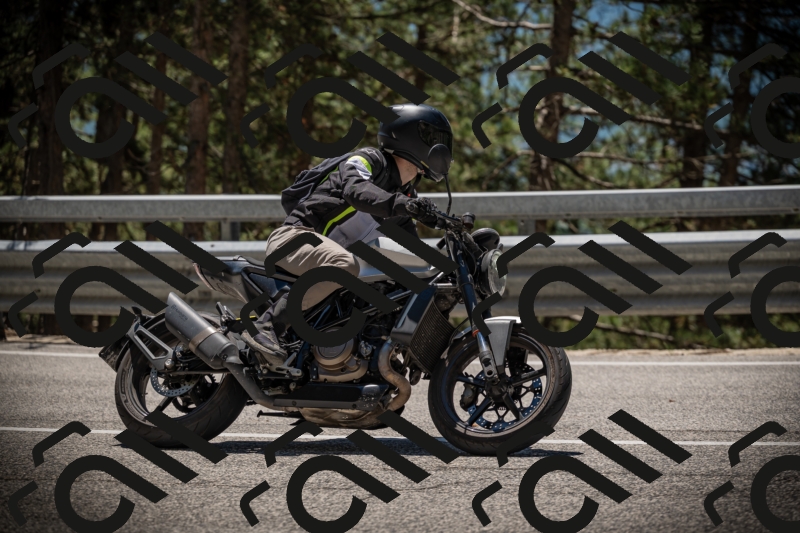 20250531125036-DSC_4805_am_