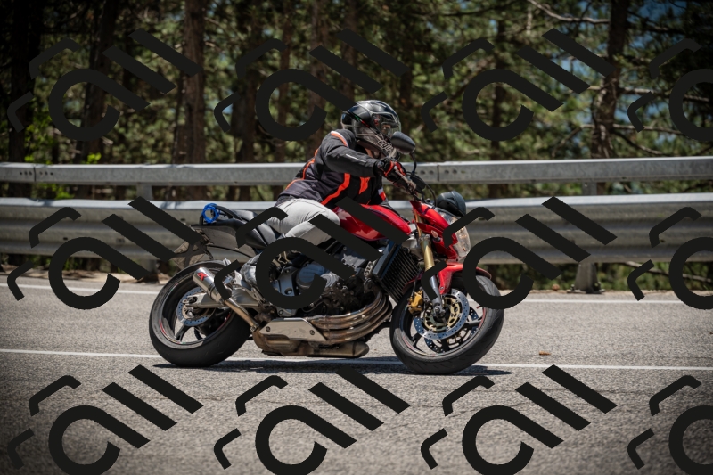 20250531125038-DSC_4807_am_