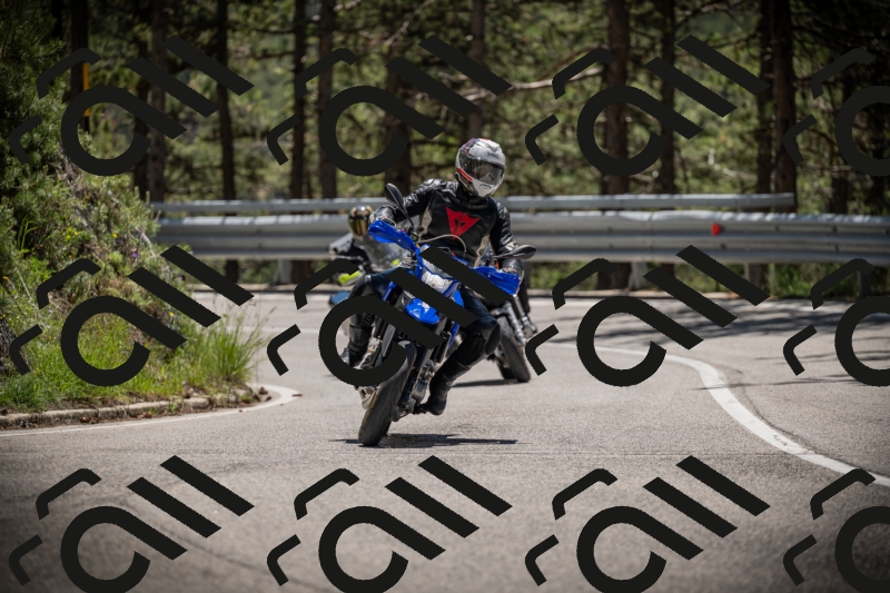 20250531125114-DSC_4810_am_