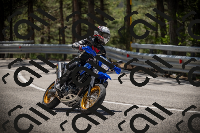 20250531125115-DSC_4812_am_