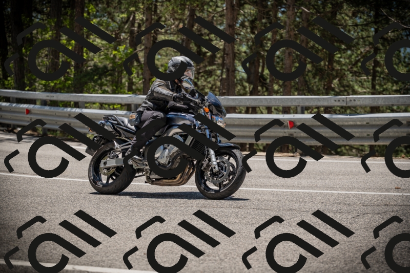 20250531125116-DSC_4815_am_