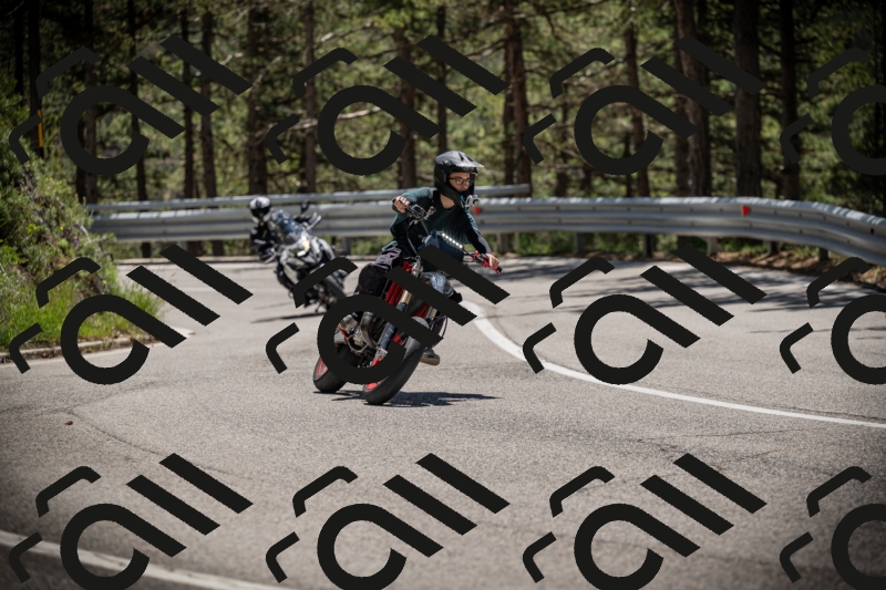 20250531125129-DSC_4821_am_