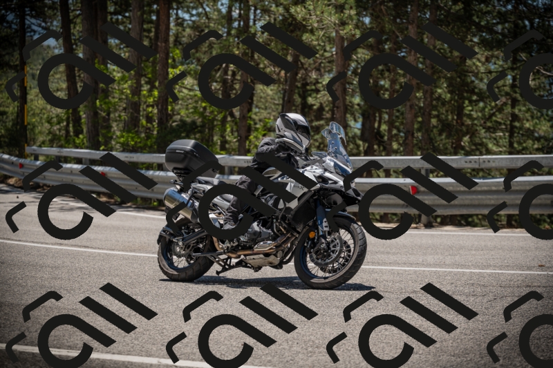 20250531125131-DSC_4825_am_