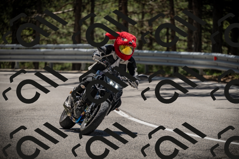 20250531125135-DSC_4827_am_