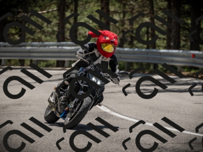 20250531125135-DSC_4827_am_