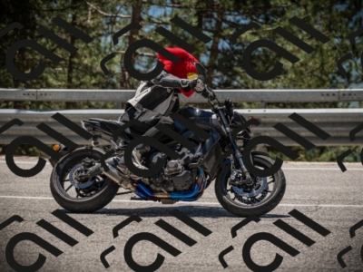 20250531125136-DSC_4830_am_