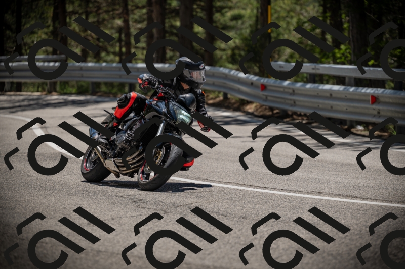 20250531125137-DSC_4831_am_