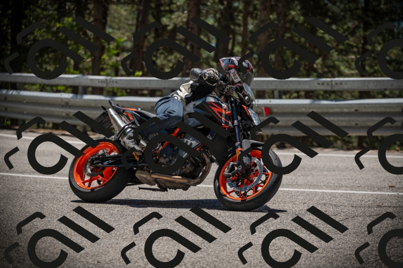 20250531125145-DSC_4837_am_