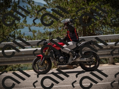 20250531125157-DSC_4845_am_