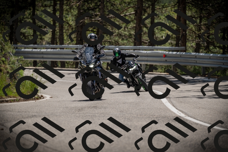 20250531125253-DSC_4851_am_