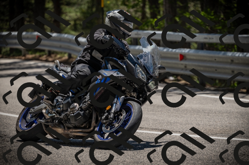 20250531125254-DSC_4853_am_