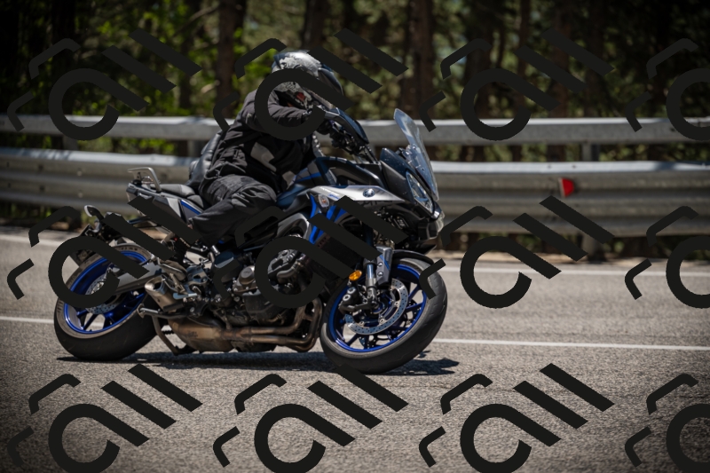 20250531125254-DSC_4854_am_