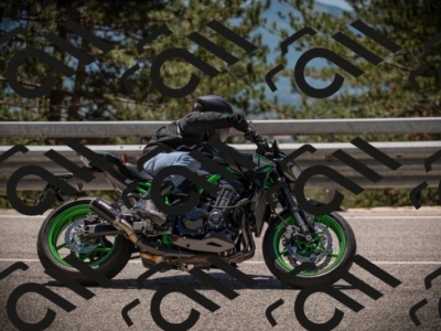 20250531125255-DSC_4855_am_