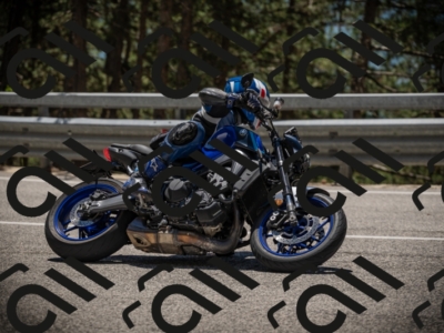 20250531125303-DSC_4863_am_