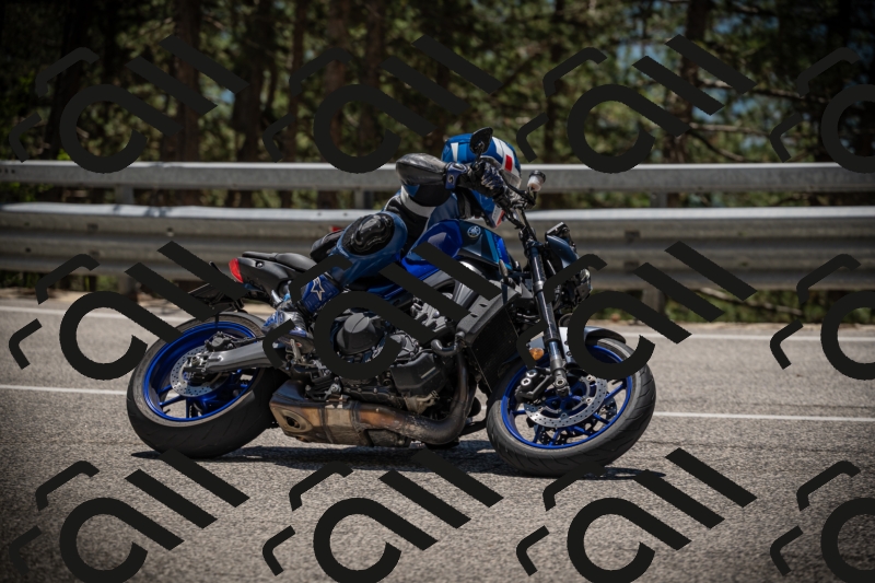 20250531125303-DSC_4863_am_