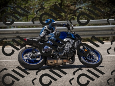 20250531125304-DSC_4864_am_